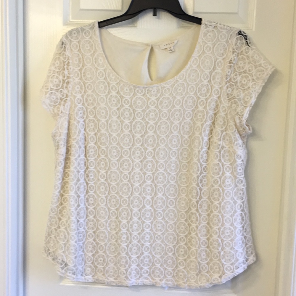 Cream colored lined lace blouse, 1X